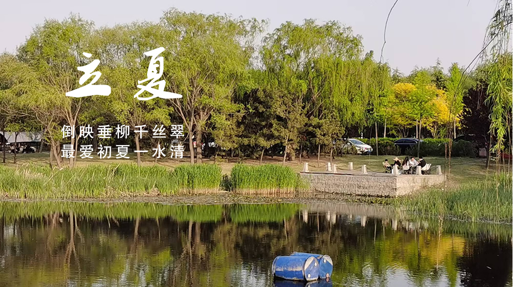 璀璨的莱州民俗文化——立夏 第 3 张