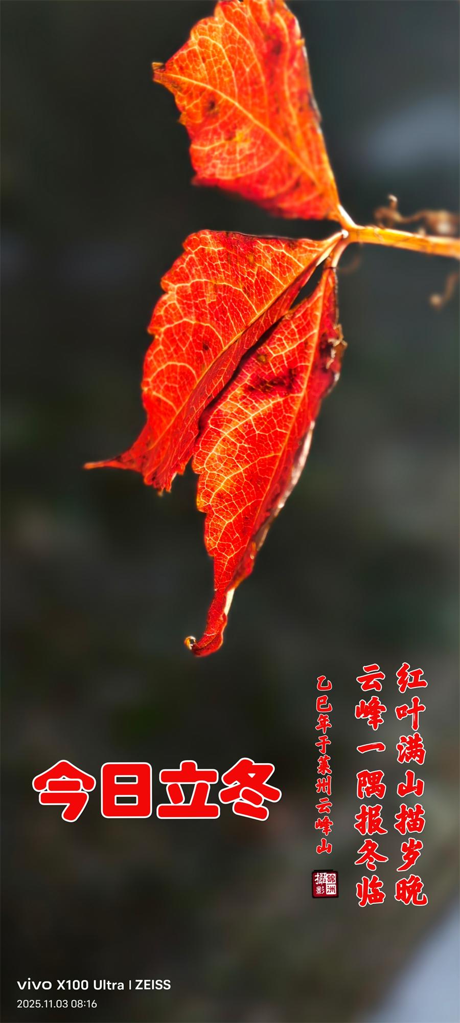 璀璨的莱州民俗文化——立冬 第 1 张