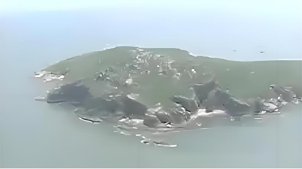 芙蓉岛：令人神往的传奇宝岛 第 4 张