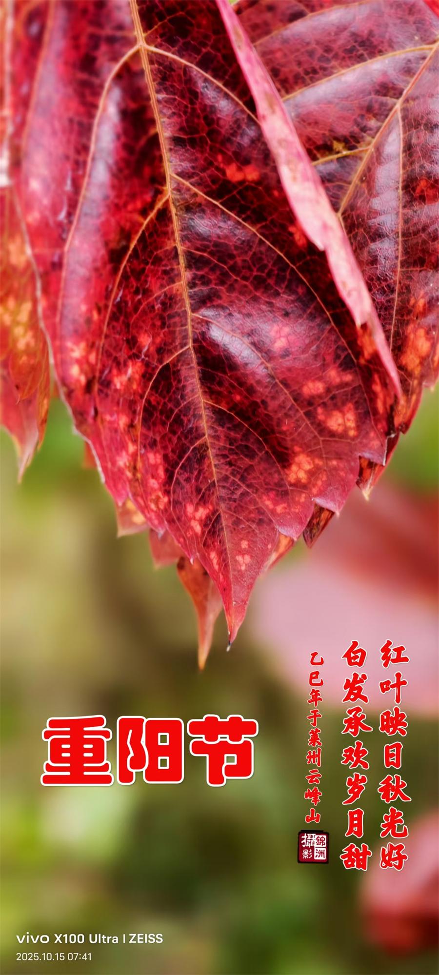 璀璨的莱州民俗文化——重阳节 第 1 张