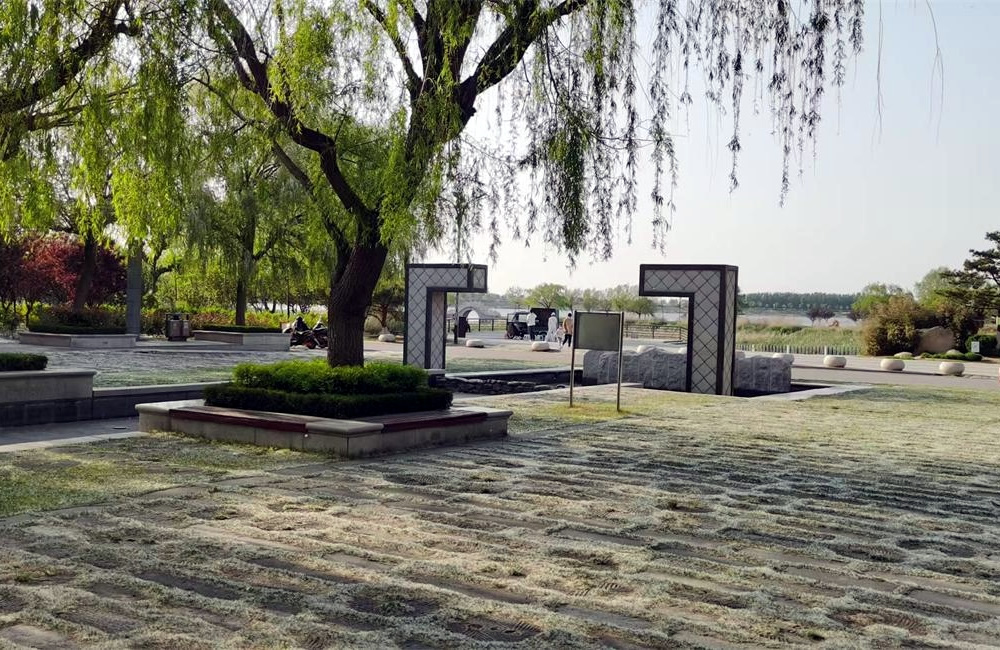 河套湿地公园——生态绿韵，畅享自然 第 3 张