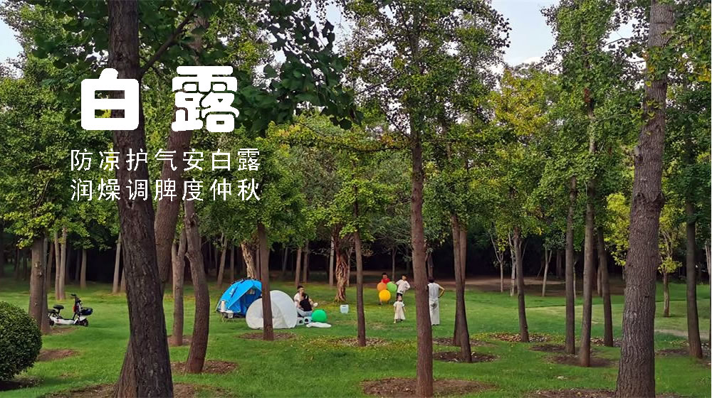 璀璨的莱州民俗文化——白露 第 5 张