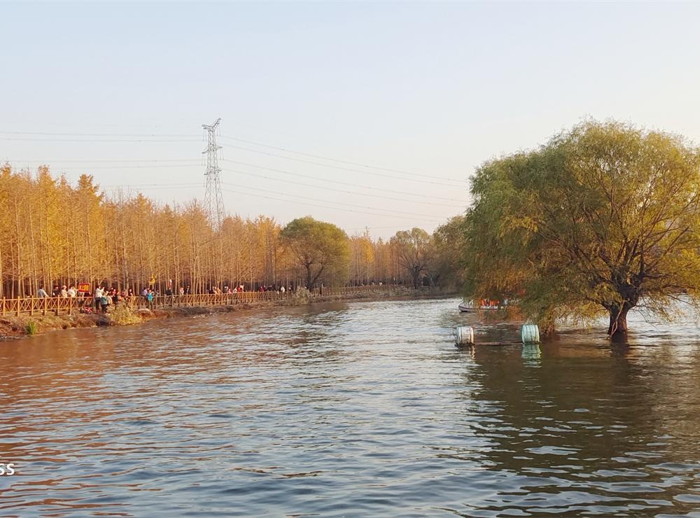 莱州，平安之乡的魅力探源 第 10 张