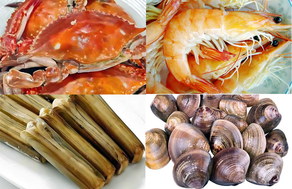 沃野碧海，物华天宝——探秘莱州“鱼米之乡”的神奇奥秘 第 3 张