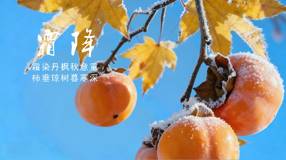 璀璨的莱州民俗文化——霜降 第 4 张