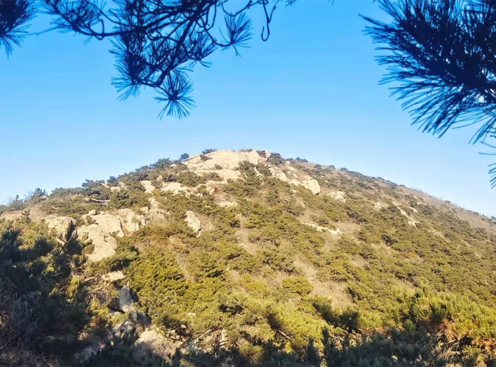 莱州，平安之乡的魅力探源 第 7 张