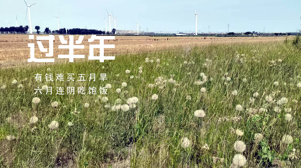 璀璨的莱州民俗文化——过半年 第 2 张