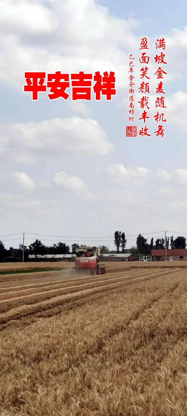 满坡金麦随机舞 ，盈面笑颜载丰收