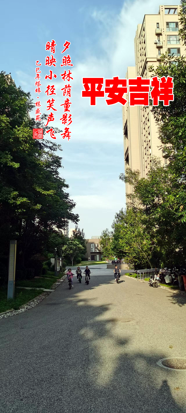 夕照林荫童影舞，晴映小径笑声飞