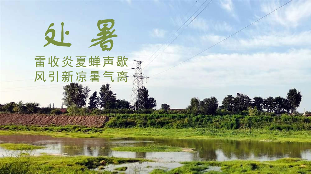 璀璨的莱州民俗文化——处暑 第 1 张