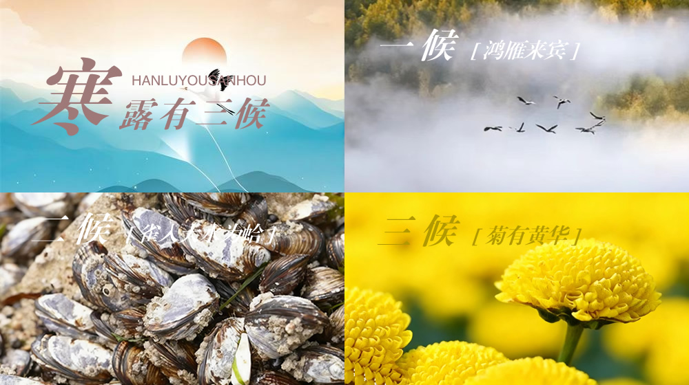 璀璨的莱州民俗文化——寒露 第 4 张