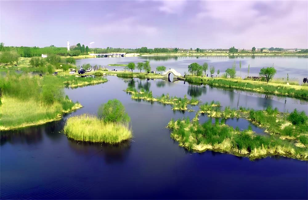 河套湿地公园——生态绿韵，畅享自然 第 4 张