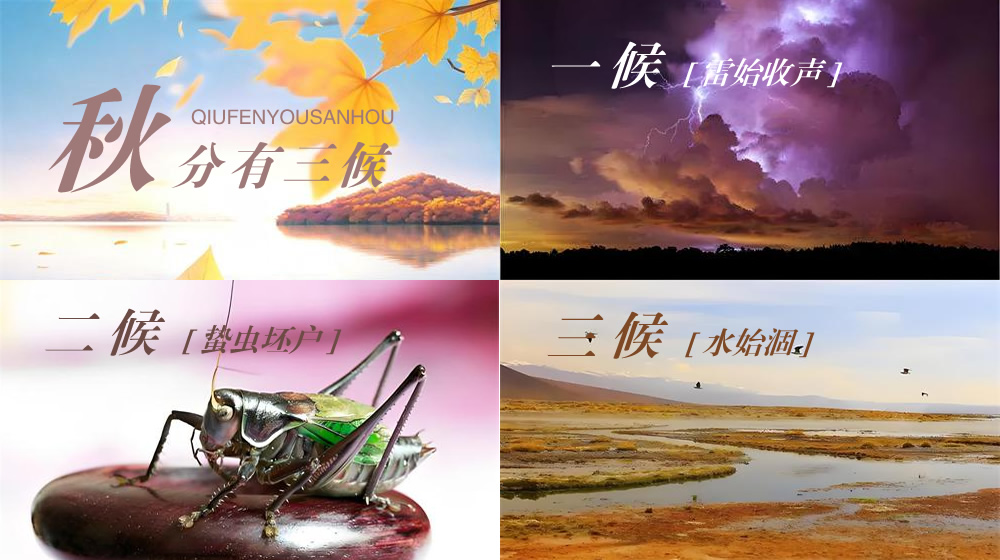 璀璨的莱州民俗文化 ——秋分  第 5 张