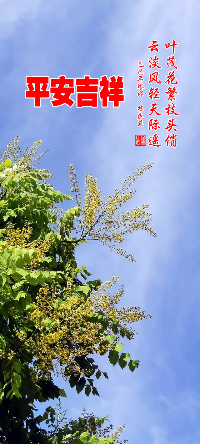叶茂花繁枝头俏，云淡风轻天际遥
