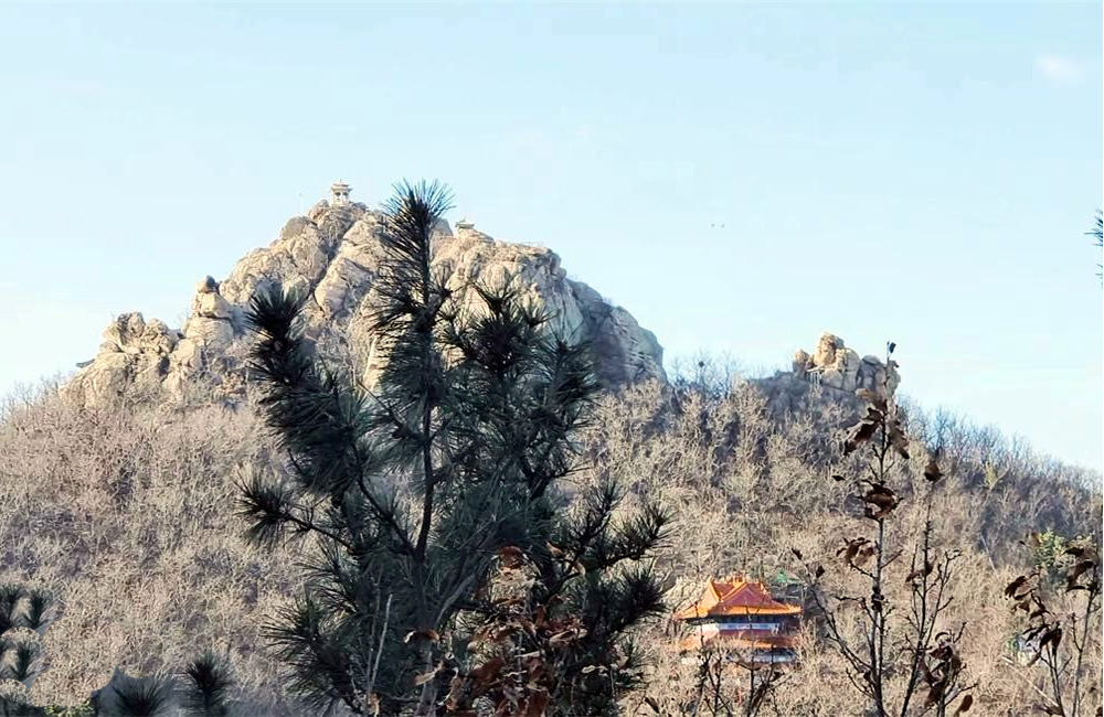 揭秘“莱州长寿之乡”的密码 第 3 张