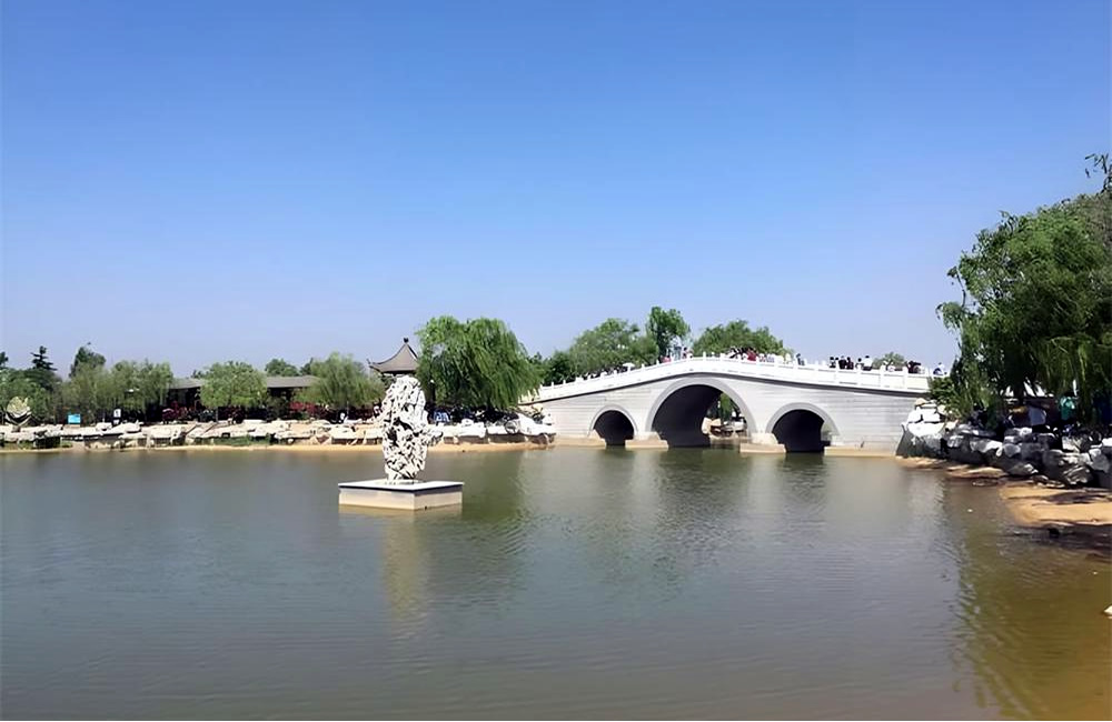 莱州中华月季园 第 5 张