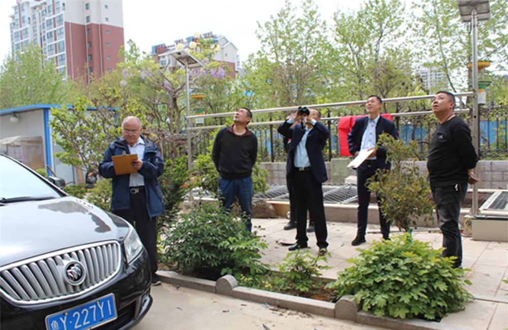 莱州通和物业“十佳标兵企业” 第 8 张