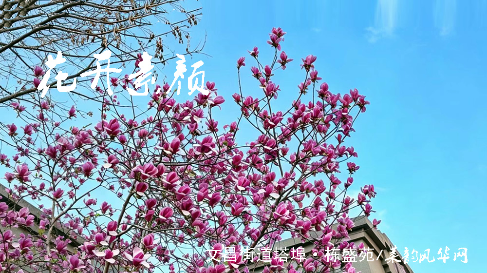 绝句四首•阳春花韵 第 2 张