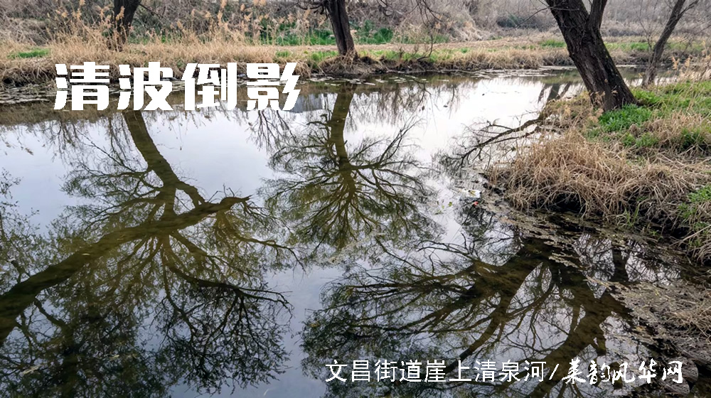 律诗四首•游春 第 2 张
