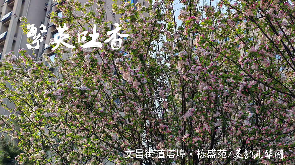 绝句四首•阳春花韵 第 4 张