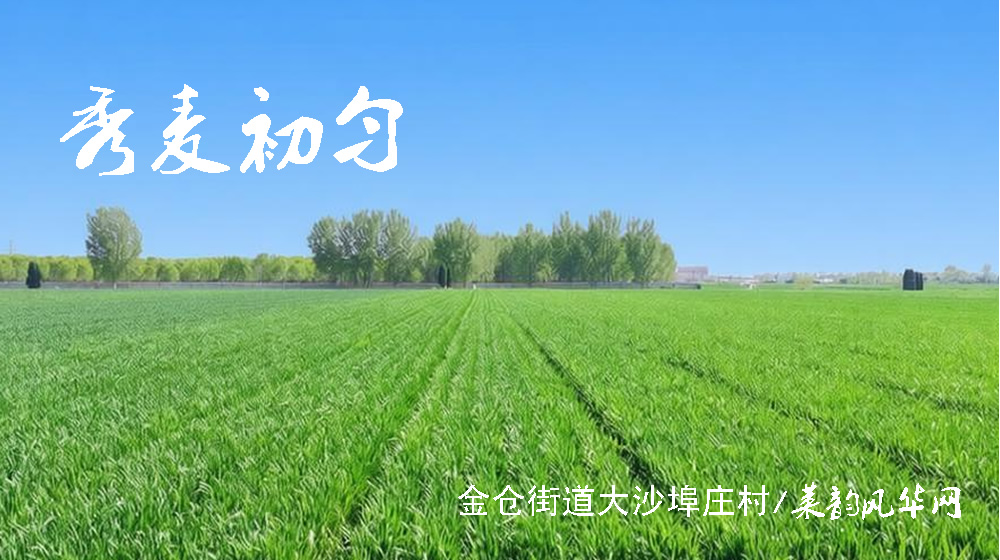 诗词三首•三月三 第 2 张