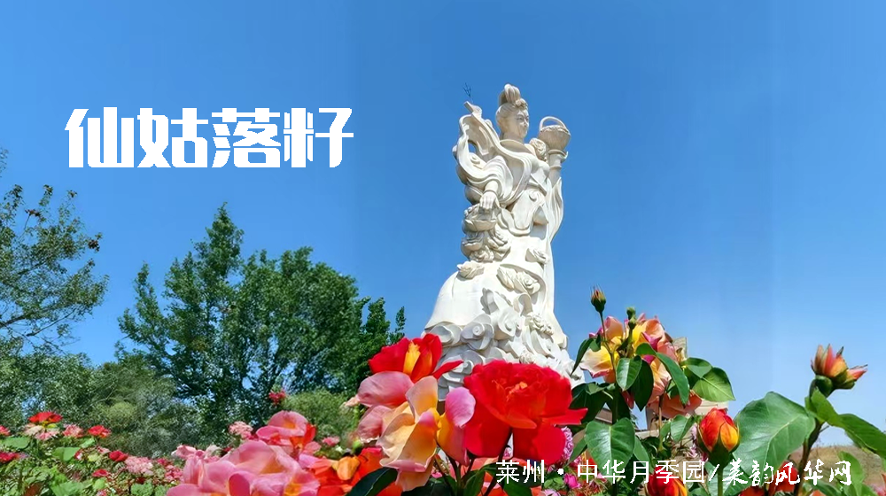 绝句四首•咏月季 第 2 张