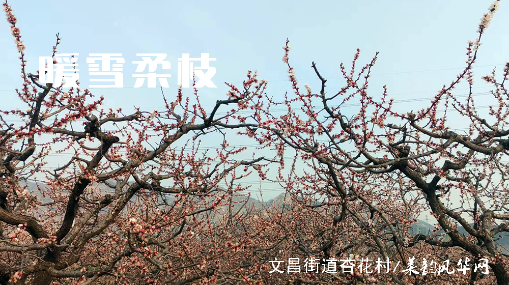 诗词四首•咏春 第 1 张