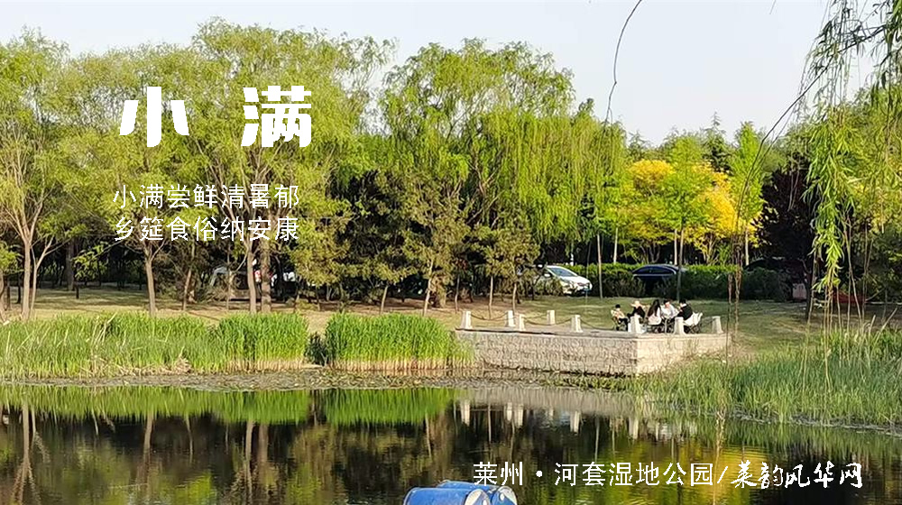 璀璨的莱州民俗文化——小满 第 2 张