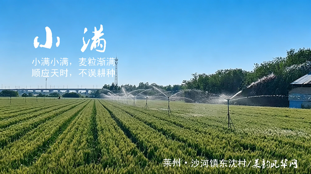 璀璨的莱州民俗文化——小满 第 3 张