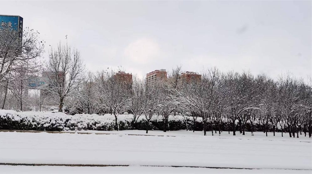 《大雪》诗五首 第 5 张 《大雪》诗五首 第 5 张