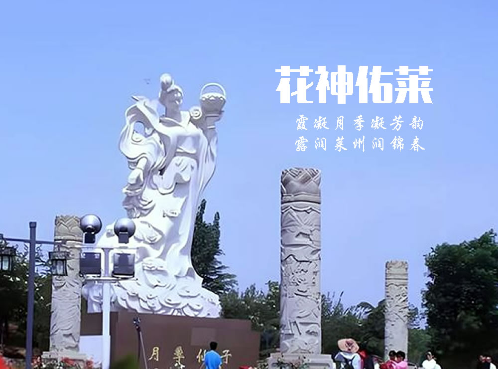 赞月季之都—莱州 第 3 张